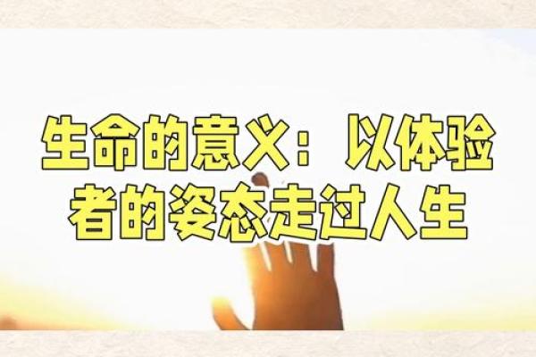 深度解析命理中的“建命”：人生的起点与选择