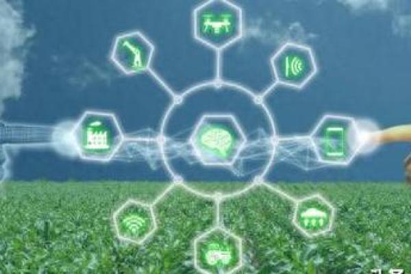 1970年出生的命格解析：命运之旅的奥秘与机遇