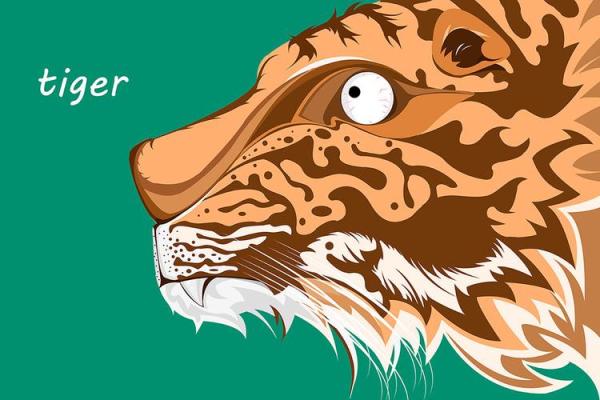 虎口命归西：揭秘生肖中的神秘力量与命运轨迹