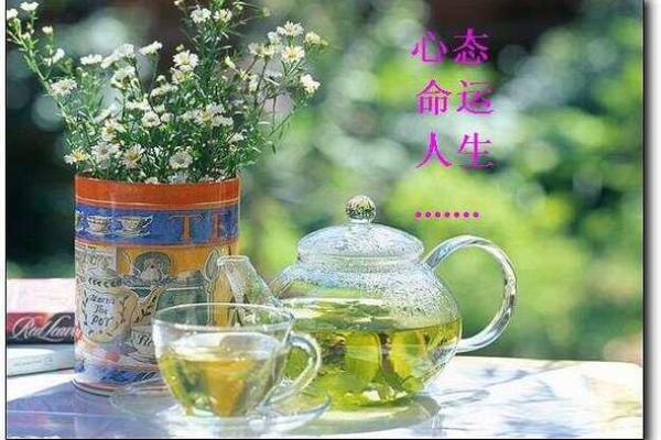 七九年冬月出生的人命运解析与人生参考