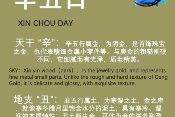 新历11月出生的人命运解析：揭秘其性格与未来发展