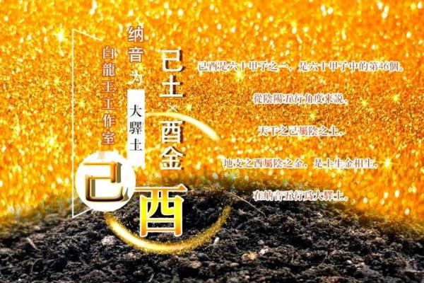 命属土的人适合的职业与发展之路探索 命属土的人适合的职业与发展之路探索