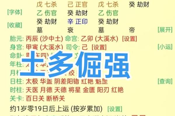 命属土的人适合的职业与发展之路探索 命属土的人适合的职业与发展之路探索
