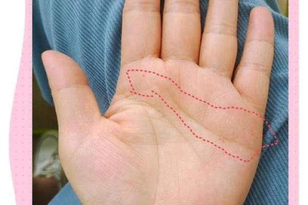 左手纹路的秘密：揭示命运与个性的神秘联系