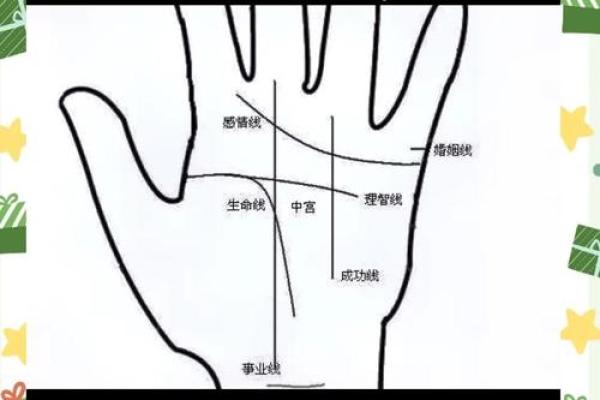 左手纹路的秘密：揭示命运与个性的神秘联系