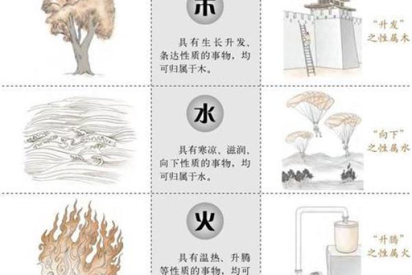 解密2017年出生宝宝命理:五行缺失与未来成长之道 解密2017年出生宝宝命理:五行缺失与未来成长之道