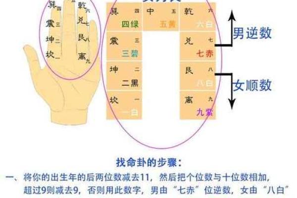东四命西四命:揭示风水术的奥秘与智慧 东四命西四命:揭示风水术的奥秘与智慧