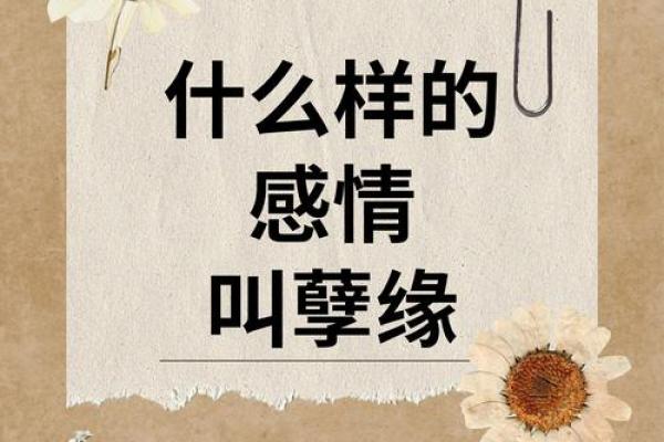 探秘命格中的一夫命:一生的情感与缘分之路 探秘命格中的一夫命:一生的情感与缘分之路