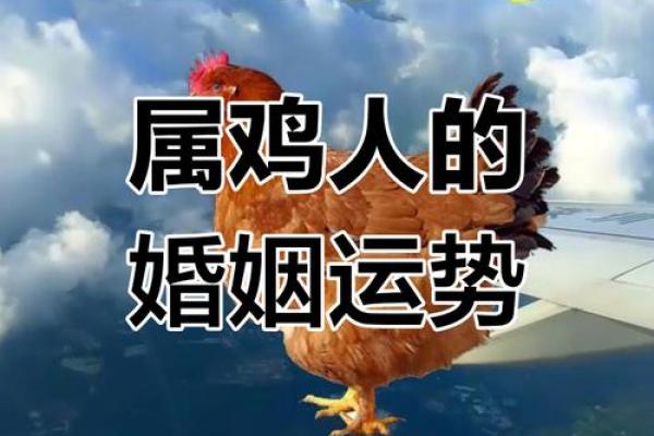 辰时出生的属鸡女孩命运解析与运势指南 辰时出生的属鸡女孩命运解析与运势指南