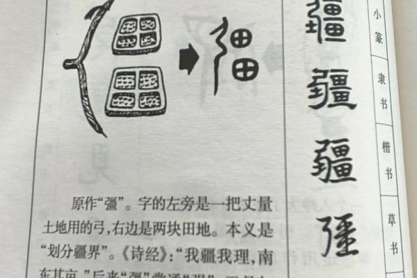 探寻“命”字的结构与部首的神秘之旅 探寻“命”字的结构与部首的神秘之旅