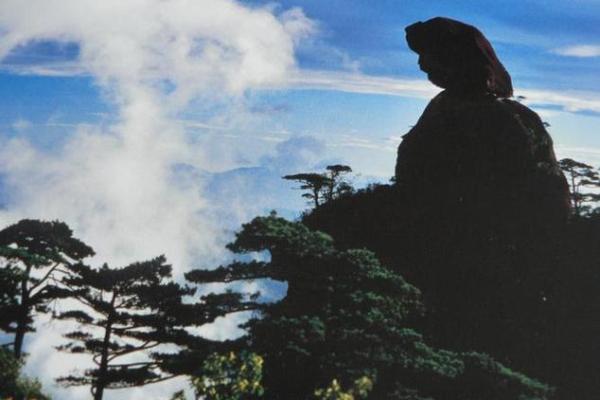 探寻“命”字的结构与部首的神秘之旅 探寻“命”字的结构与部首的神秘之旅