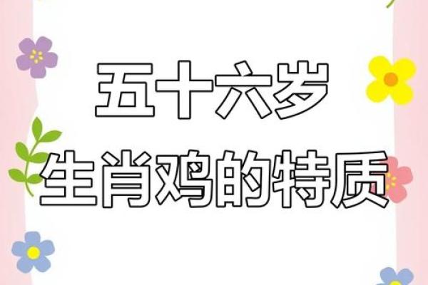 探索1969年属鸡人的命运与人生旅程 探索1969年属鸡人的命运与人生旅程
