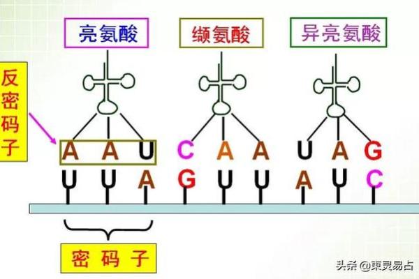 1932壬申年:揭示你的命运与人生轨迹的宇宙密码 1932壬申年:揭示你的命运与人生轨迹的宇宙密码