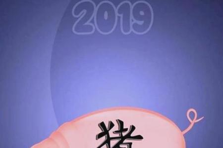 揭秘生肖属猪人的命运与生活智慧