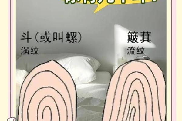 右手四斗人的命运揭秘:你知道自己有什么命吗? 右手四斗人的命运揭秘:你知道自己有什么命吗?