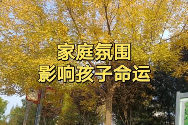 2030年出生宝宝的命运:星辰与命理的未来展望 2030年出生宝宝的命运:星辰与命理的未来展望