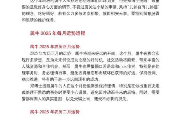 2023年属牛人的命运解析：从性格到未来发展一探究竟