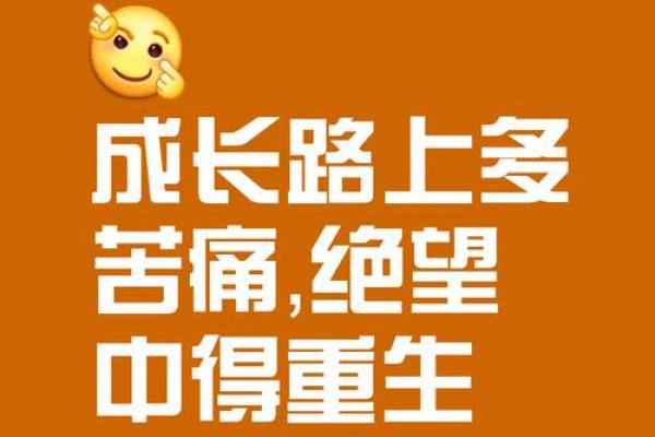 拼过命判过心：在生活的逆境中寻找自我重生的力量