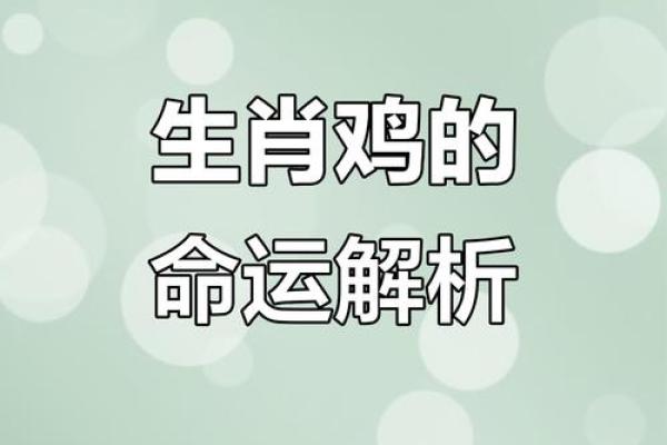 探秘1972年属鸡人的命运：幸运与挑战的双重旅程