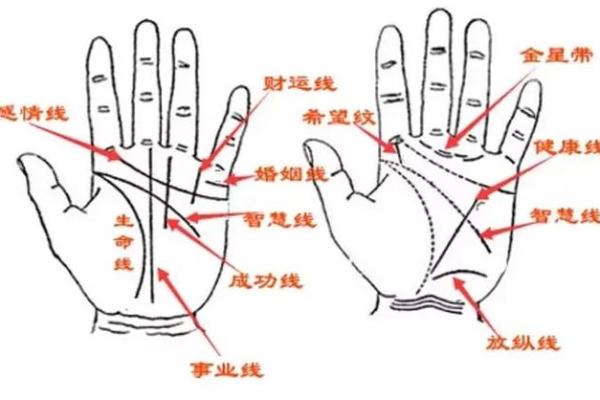 掌握手相：揭示男人命格的神秘密码与人生轨迹