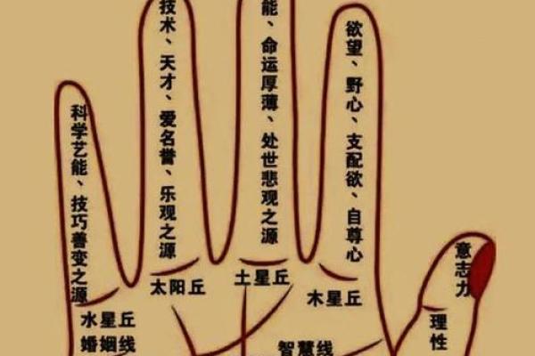 掌握手相：揭示男人命格的神秘密码与人生轨迹
