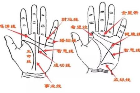 掌握手相：揭示男人命格的神秘密码与人生轨迹