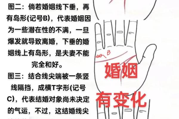 掌纹如鞭，命运波折：解密掌纹与人生轨迹