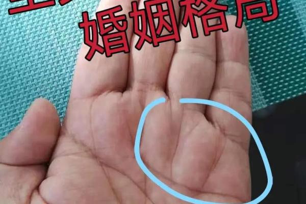 掌纹如鞭，命运波折：解密掌纹与人生轨迹