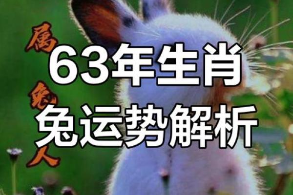 1951年出生属兔：明理睿智之命与岁月的印记