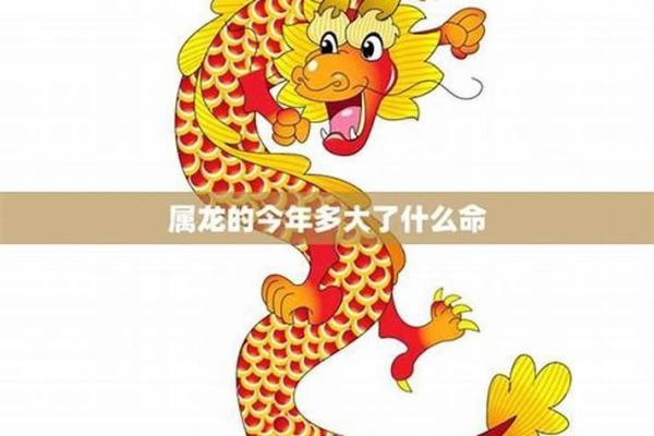 2000年属龙人的命运与职业发展分析