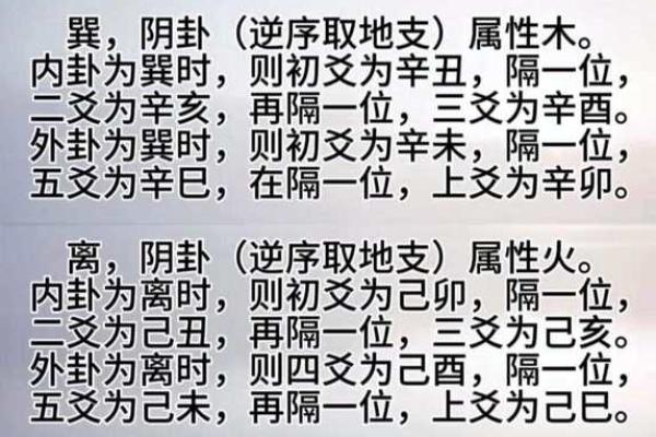 丙辰丁巳年命解析：如何选择适合自己的命理之道