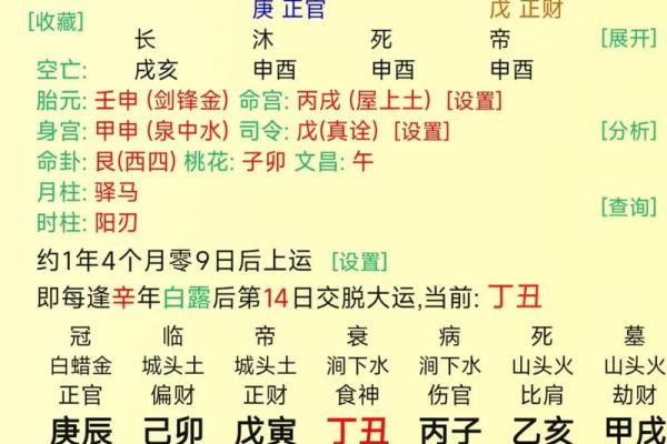 命局无财官杀格女命：解析潜藏的个人命运与内在力量