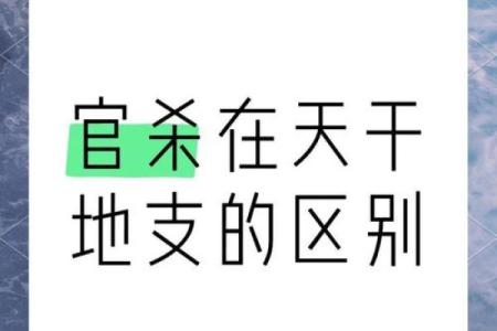 命局无财官杀格女命：解析潜藏的个人命运与内在力量