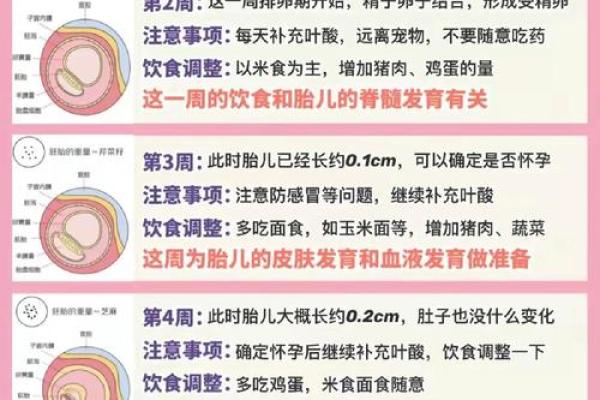 2014年出生宝宝命理分析：如何为他们的未来奠定良好基础