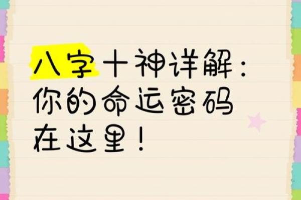 你的命运密码：揭秘你是什么命的命理之旅