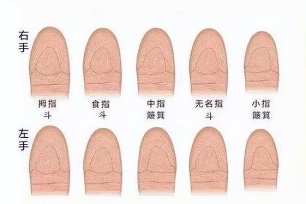 揭开簸箕命的神秘面纱 探索手相中的人生轨迹 揭开簸箕命的神秘面纱 探索手相中的人生轨迹