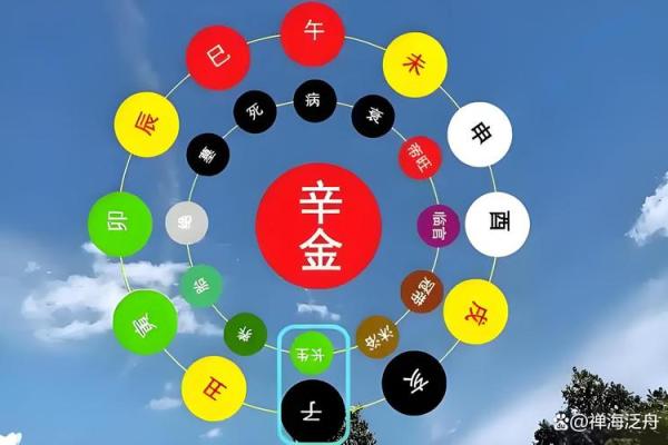 2004年猴年出生的人，命格解析与人生智慧