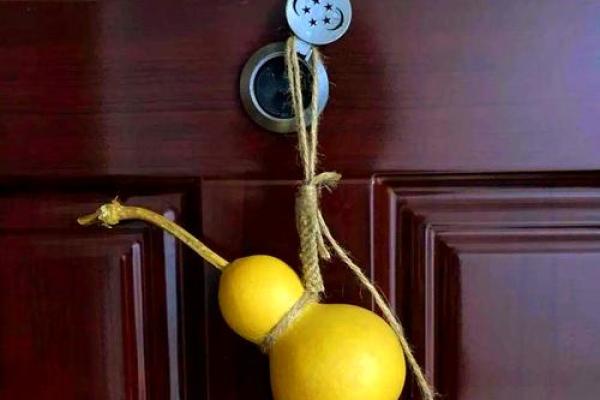 双大林木命人适合什么物品与摆放风水的深度解析