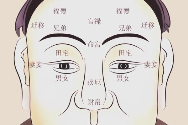 面相学揭秘：如何通过面相判断你的命格与运势