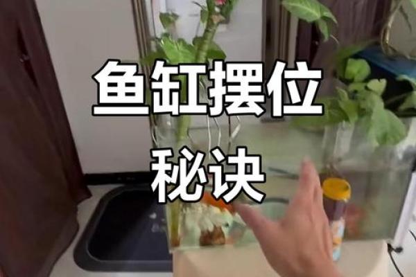 命中注定：为何这些人不宜在家中摆放鱼缸？