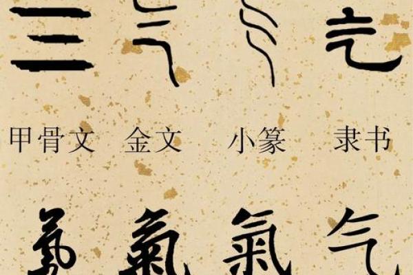 探秘汉字之美：从部首看汉字的组合与结构