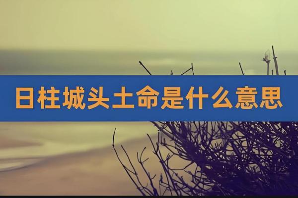 城墙土命与职业选择：探索适合土命人的行业发展之路