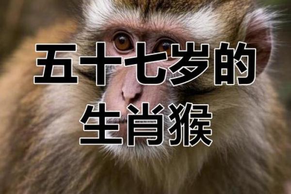 80猴是什么命？分析猴年出生者的命理与生活运势