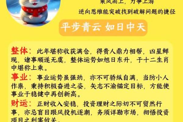 1984年女鼠的命运揭秘：如何与天生性格和谐共生