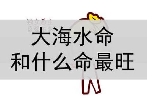 水命酒中的“命”是什么？探秘命与酒的深层联系