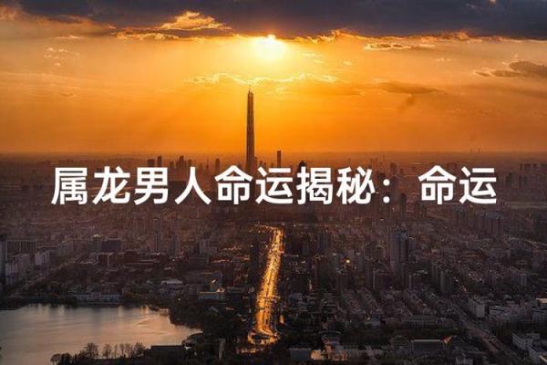 探究2012属龙男童的命运与人生历程