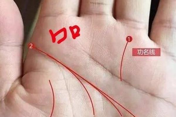 了解男士手指细腻的命运:从指纹看人生轨迹 了解男士手指细腻的命运:从指纹看人生轨迹