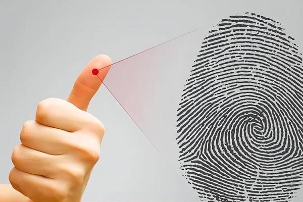 了解男士手指细腻的命运:从指纹看人生轨迹 了解男士手指细腻的命运:从指纹看人生轨迹