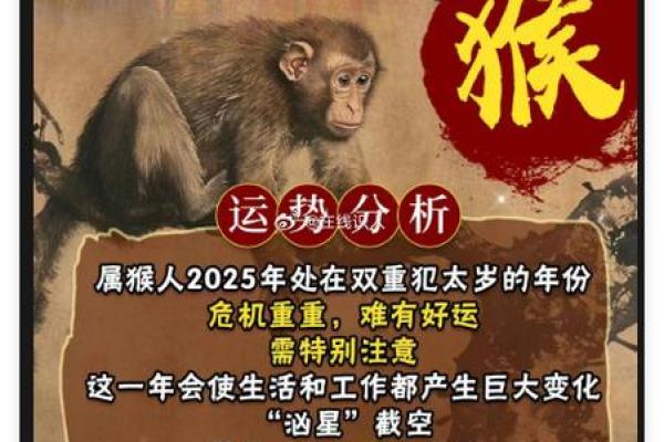 2106猴宝宝命理解析：聪慧如猴，人生精彩与挑战并存