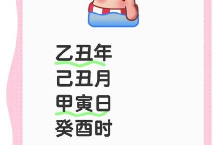 探秘命理：乙卯、己丑、己卯、癸酉命格的独特魅力与人生启示
